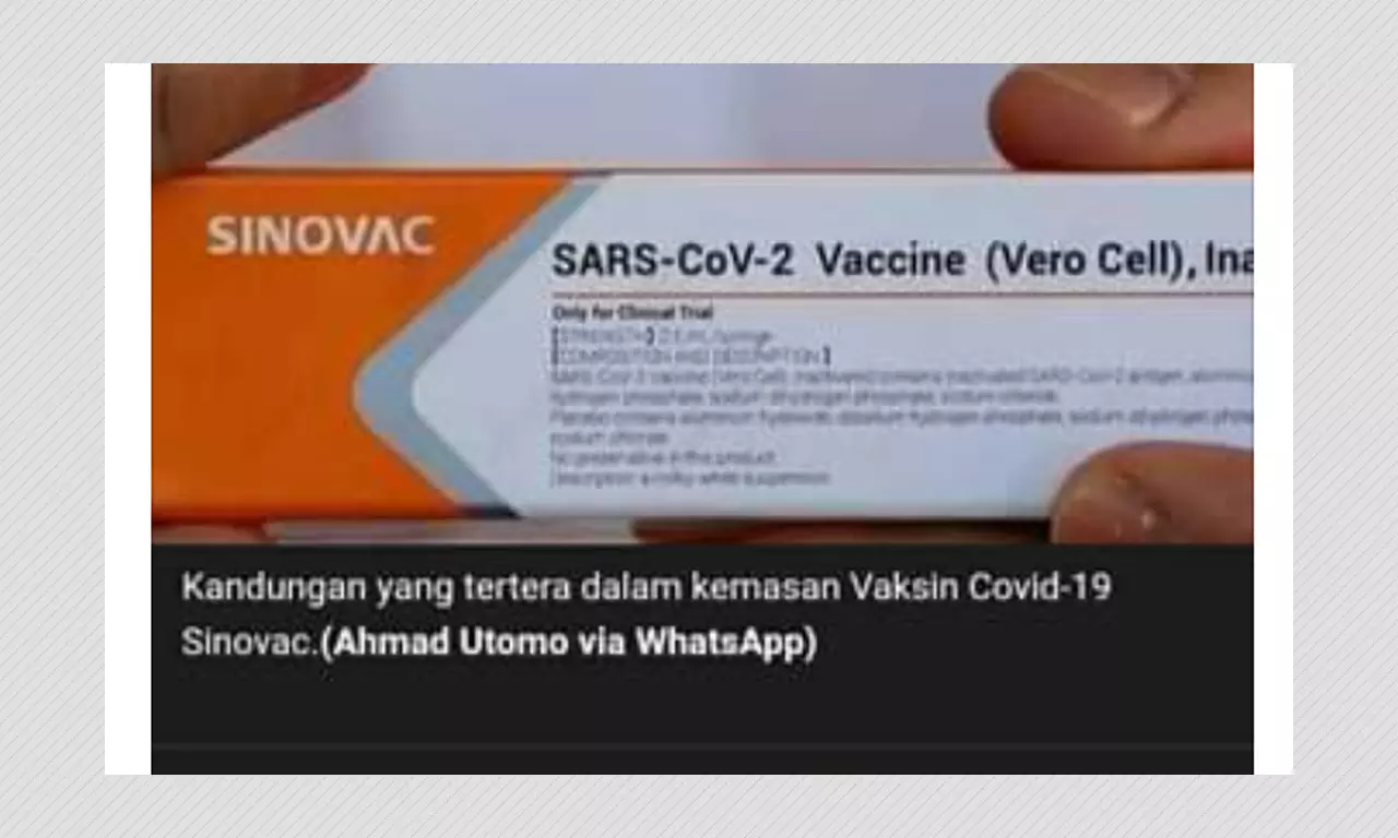 Old Photo Shared To Falsely Claim Sinovac Vaccine Is Only For Trial