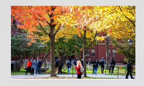 Harvard Brings In Caste Sensitive Policy For Student Workers On Campus