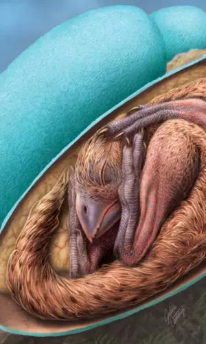Perfectly Preserved Dinosaur Embryo Discovered Inside Fossilised Egg In China