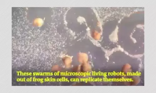 Video Of Experiment On Frog Cells Shared As Nanobots In COVID-19 Vaccine