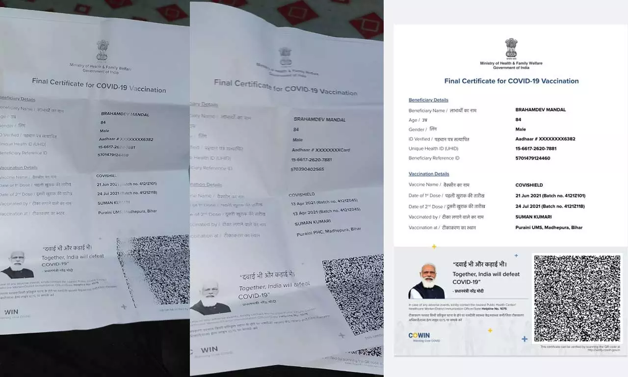 Some of Brahmadevs vaccine certificates. Some of Brahmadevs vaccine certificates.