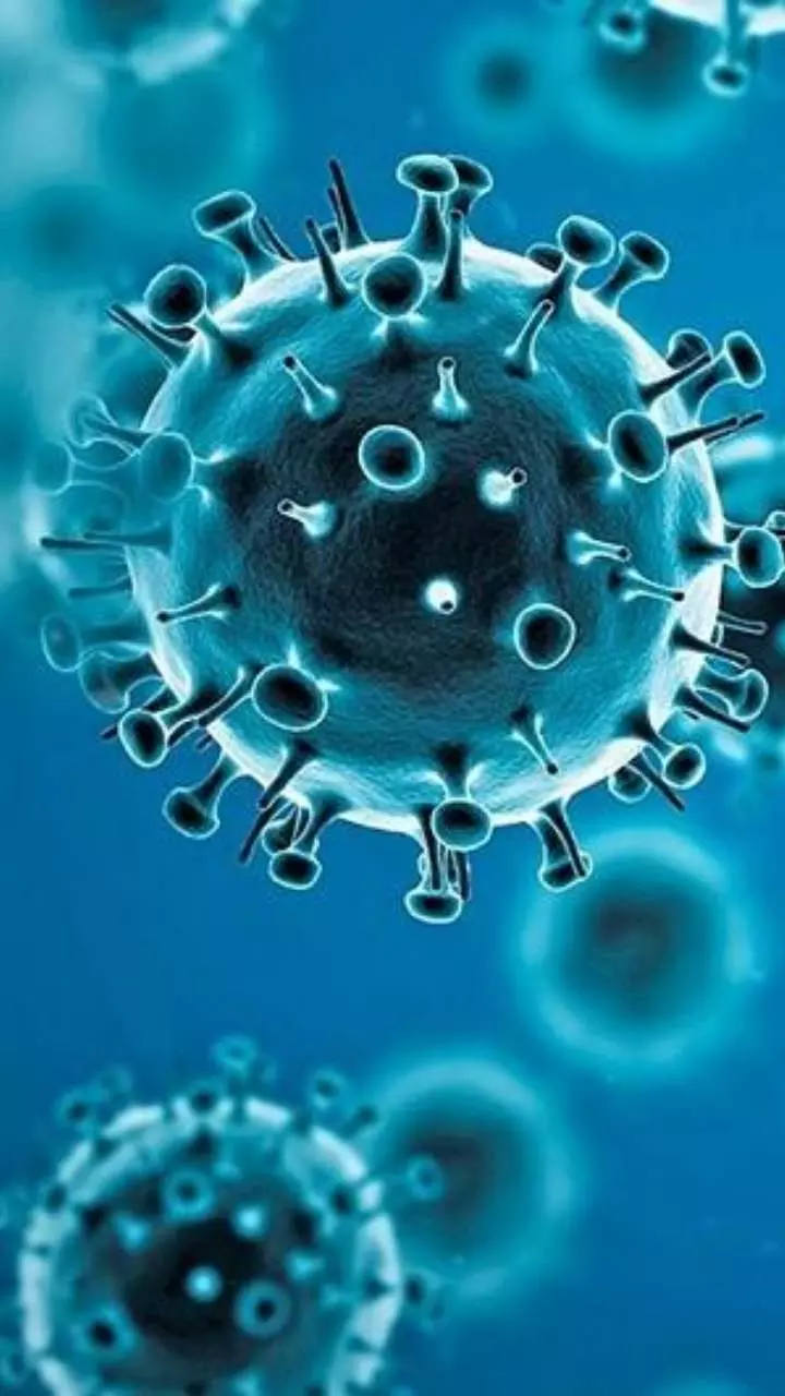 Covid-19 Heading Towards Endemic Stage: Heres What It Means