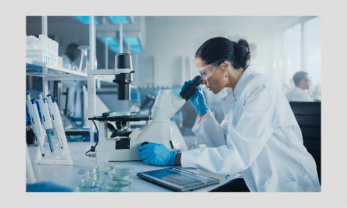 NeoCoV Not Found In Humans Yet, Wuhan Report On Virus Only A Study