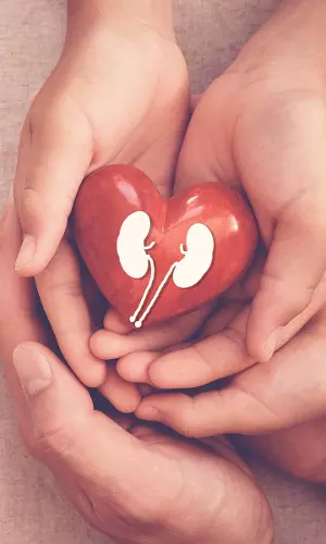 World Kidney 2022: Over 2 Million People Suffer From Chronic Disease