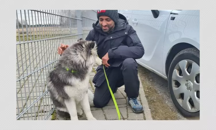 How A Man Helped An Indian Woman Cross Ukraine By Pretending To Be Her Partner