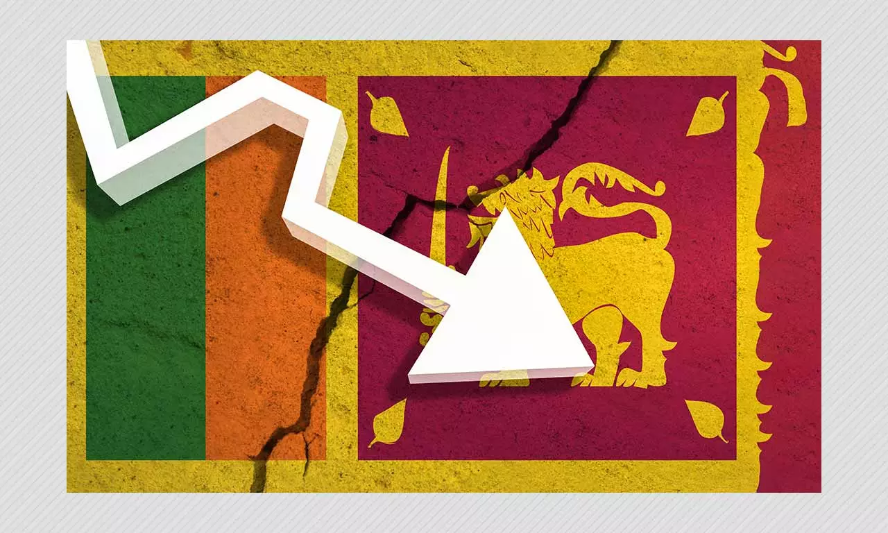 Sri Lanka To Suspend Payment On All External Debt: Finance Ministry Sri Lanka To Suspend Payment On All External Debt: Finance Ministry