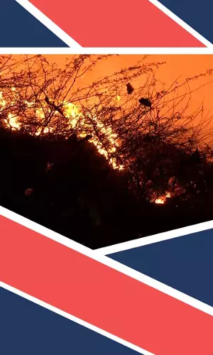 Massive Fire Breaks Out At Bhalswa Landfill Site In Delhi