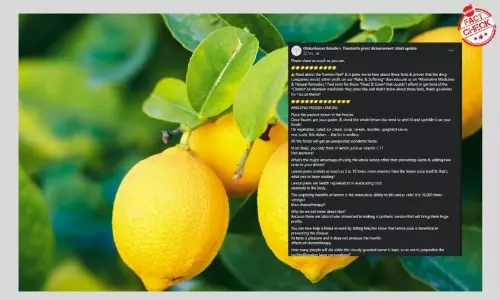 Lemons Cure Cancer And Are Better Than Chemotherapy? False Claim Viral