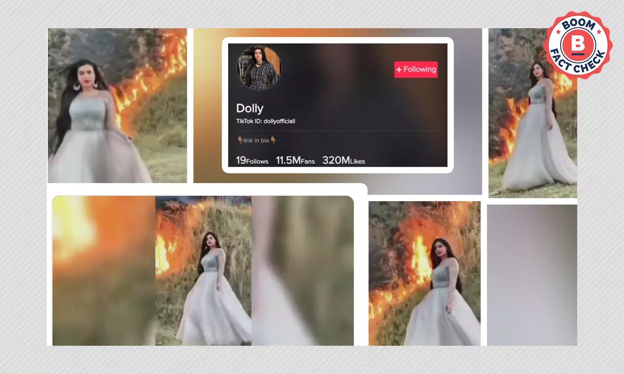 Pak TikToker Dolly Under Fire For Shooting Forest Fire Video