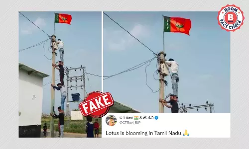 2017 Photo Of BSP Flag Atop A Pole In UP Shared As BJP Flag In Tamil Nadu