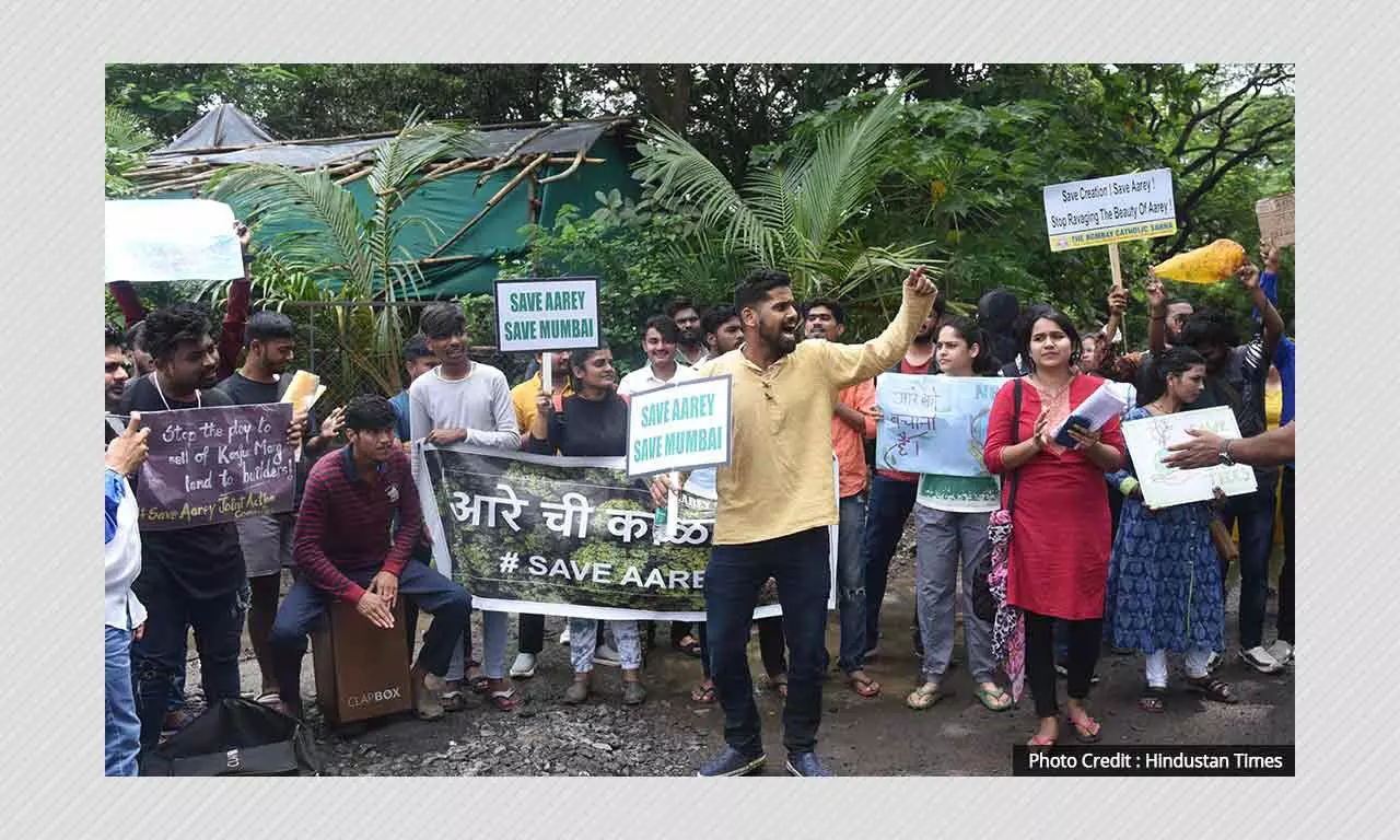 Why Is Aarey So Vital For Mumbai? A Look At The Battles To Claim It