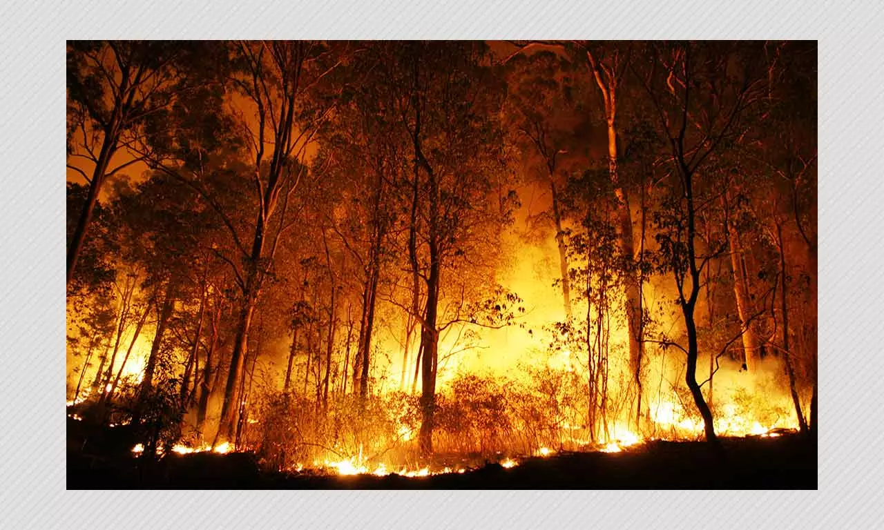 Can Wildfires Impact El Nino? Heres What New Research Shows