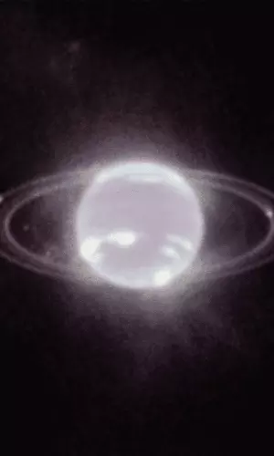 James Webb Space Telescope Captures Neptunes Clearest Picture In Over 30 Years, NASA Shares Photos