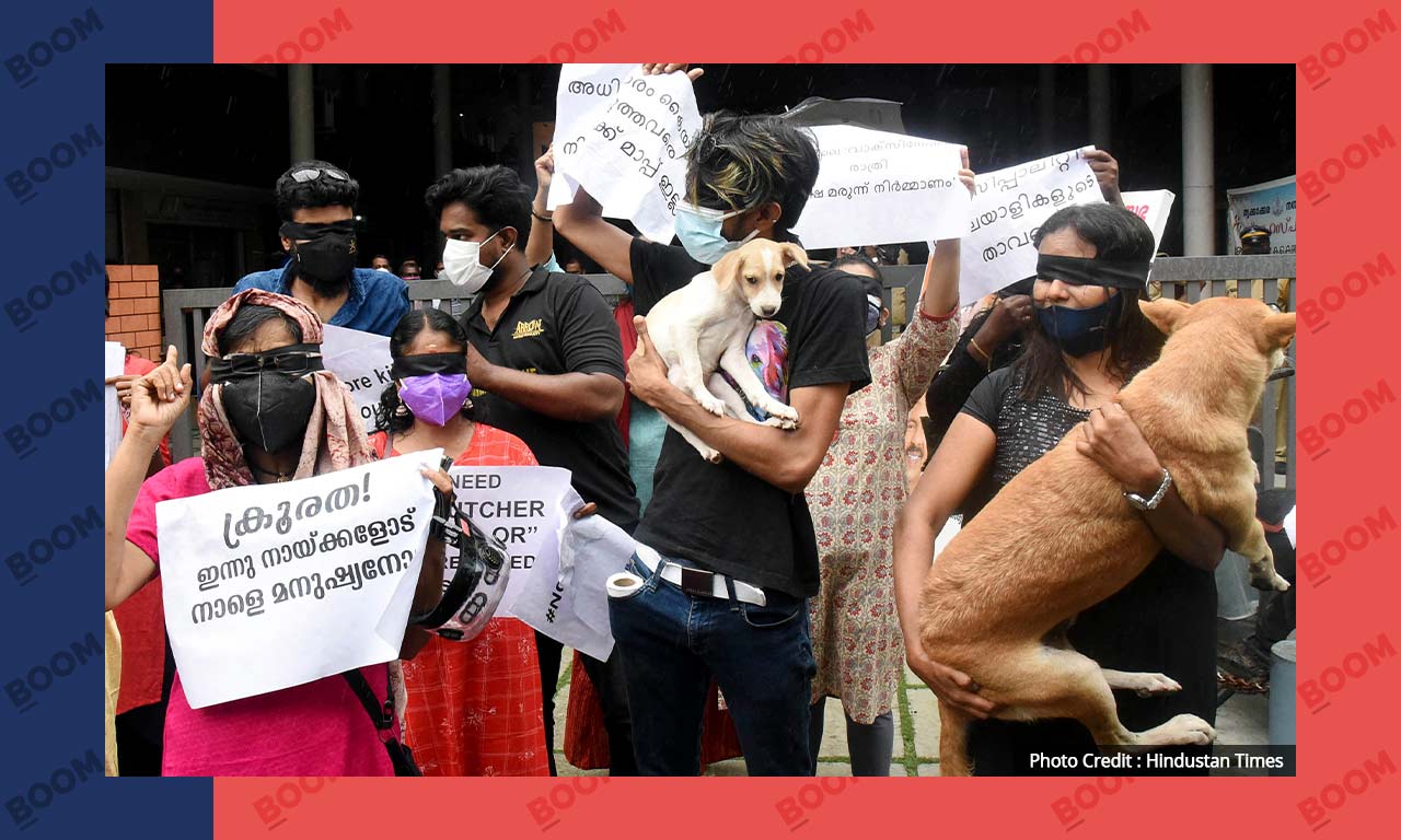 Air Guns And Vaccines: Why Can't Kerala Stop The Biting Dog Menace? Air Guns And Vaccines: Why Can't Kerala Stop The Biting Dog Menace?