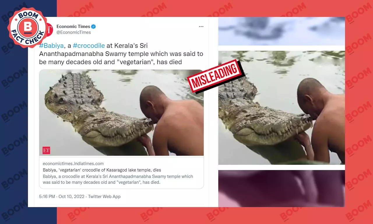 No, This Photo Does Not Show Temple Crocodile Babiya From Kerala No, This Photo Does Not Show Temple Crocodile Babiya From Kerala