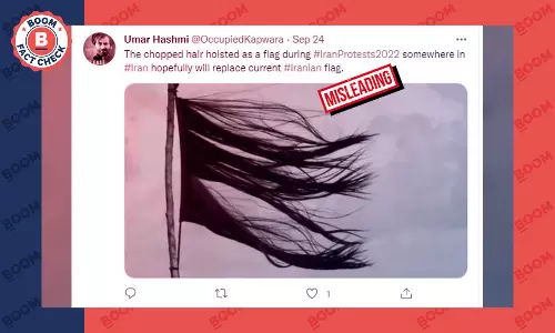Old Image Of Artwork Made Of Hair Falsely Linked To Iran Protests
