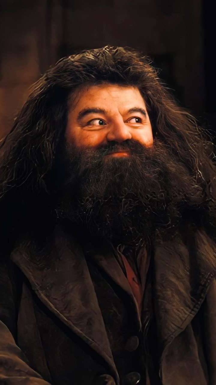 Hagrid deals