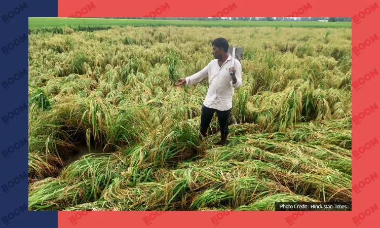 Are Late Monsoons Going To Be The New Normal For India?