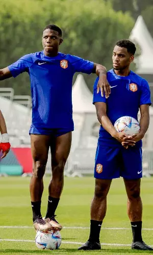 FIFA World Cup 2022: Iran-England, Netherlands-Senegal Face Each Other On Day 2