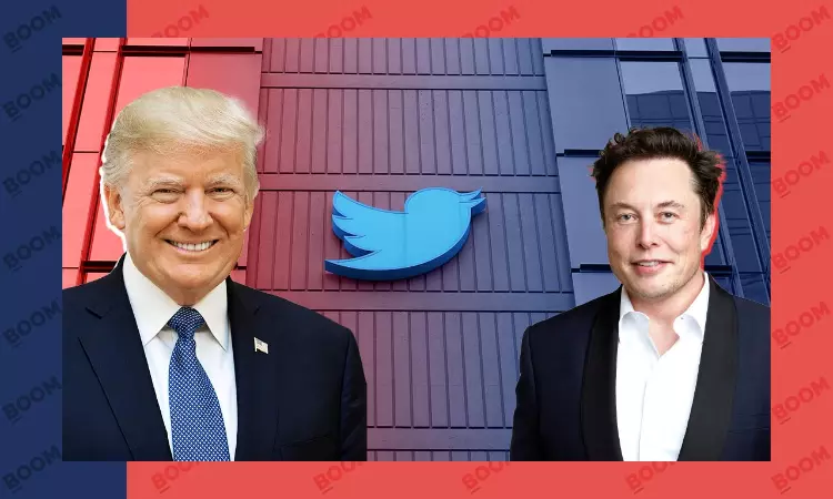Donald Trump Returns To Twitter After Elon Musks Poll: All You Need To Know