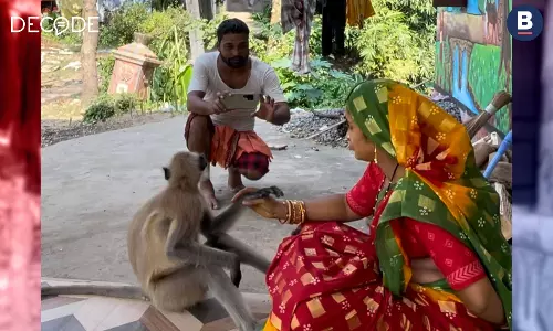 An Odisha Village Couple Was Hit With FIRs Over Their Viral Pet Monkeys An Odisha Village Couple Was Hit With FIRs Over Their Viral Pet Monkeys