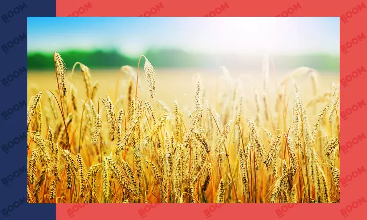 Climate Crisis in Africa: How Colonial Food Systems Leave People Vulnerable