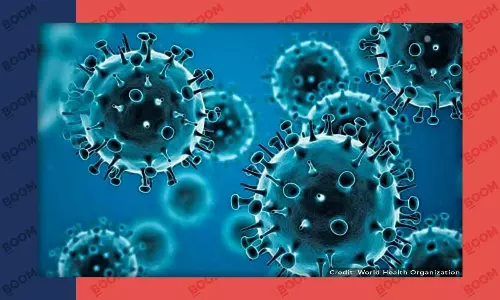 Whats The Connection Between Covid And Gut Bacteria? Experts Explain