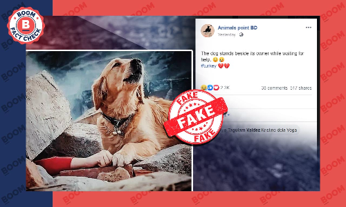 Photo Of Dog Sitting Near Owner Trapped Under Rubble Not From Recent Quake