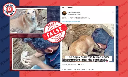 Old Video Of Puppies Being Rescued In India Shared As Turkey