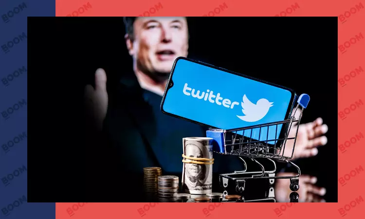 What Bug Fixes Do Twitter Users Want? Heres What They Told Elon Musk