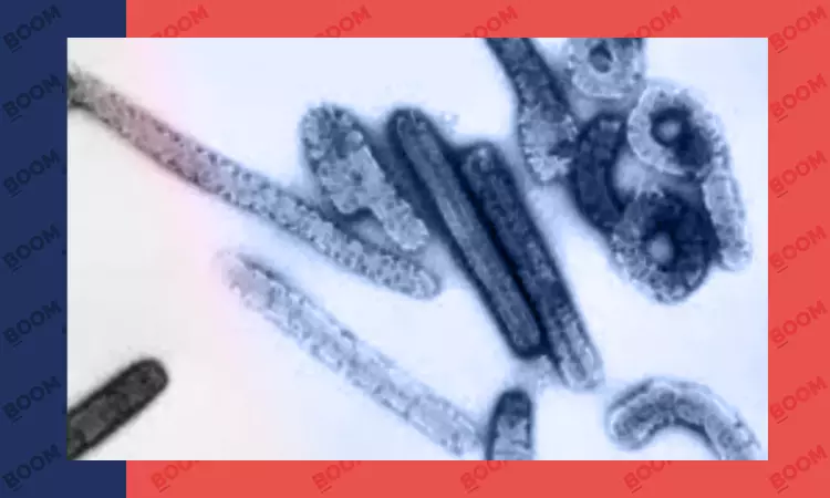 What Is Marburg Virus Outbreak In Central Africa?