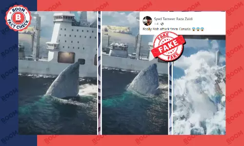 Animation Video Falsely Shared As Shark Attack On A Ship In Canada