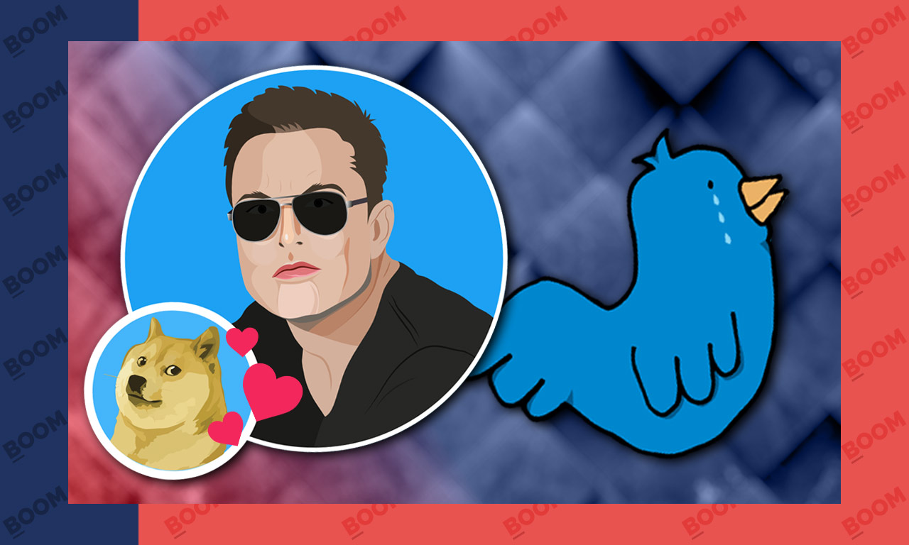 Doge Replaces Twitter Blue Bird, Sending The Cryptocurrency Up By 30%