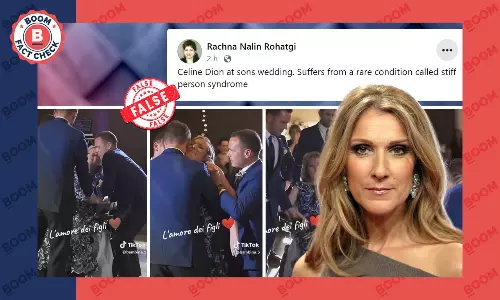 No, This Is Not Celine Dion In A Wheelchair Dancing At Her Sons Wedding