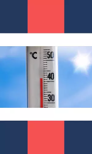 Heatwave In Delhi Today As IMD Issues Yellow Alert. What Does This Mean?