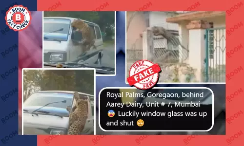 Old Video Of A Leopard Attack In Assam Falsely Shared As Mumbai