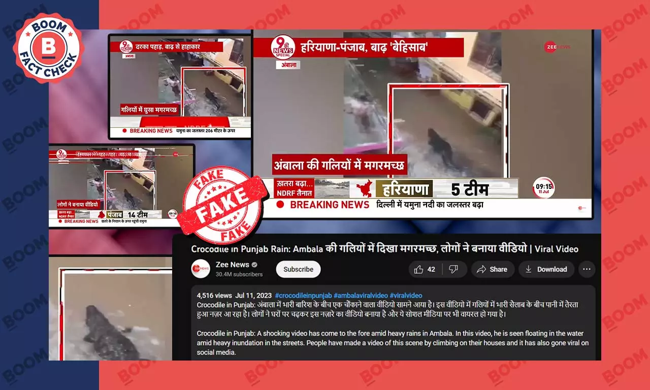 Zee News Misreports Old Video Of Crocodile Sighted In MP As Haryana