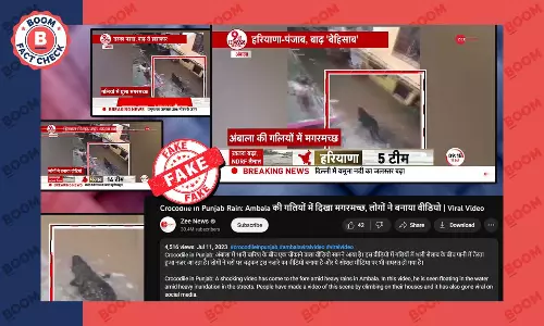 Zee News Misreports Old Video Of Crocodile Sighted In MP As Haryana
