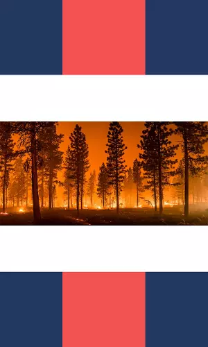 AI Is Helping California In Detecting Wildfires. Here’s How