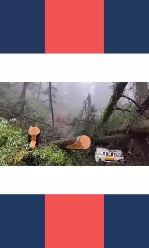 Himachal Pradesh: Sixteen Killed As Cloudburst Creates Havoc In The State