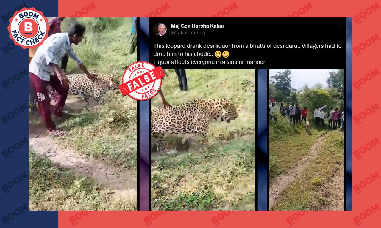 Video Of MP Villagers Harassing Sick Leopard Shared Without Context