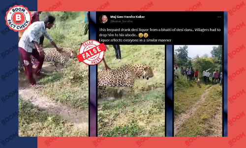 Video Of MP Villagers Harassing Sick Leopard Shared Without Context