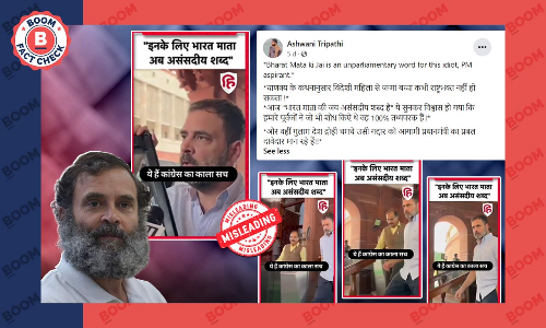 Did Rahul Gandhi Say Bharat Mata Was An Unparliamentary Word?