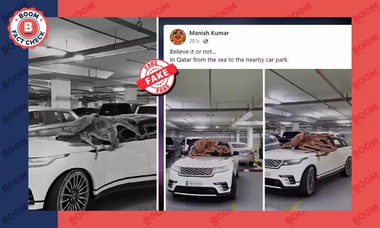 Video Of Octopus Destroying Car In Parking Lot Is Computer Generated