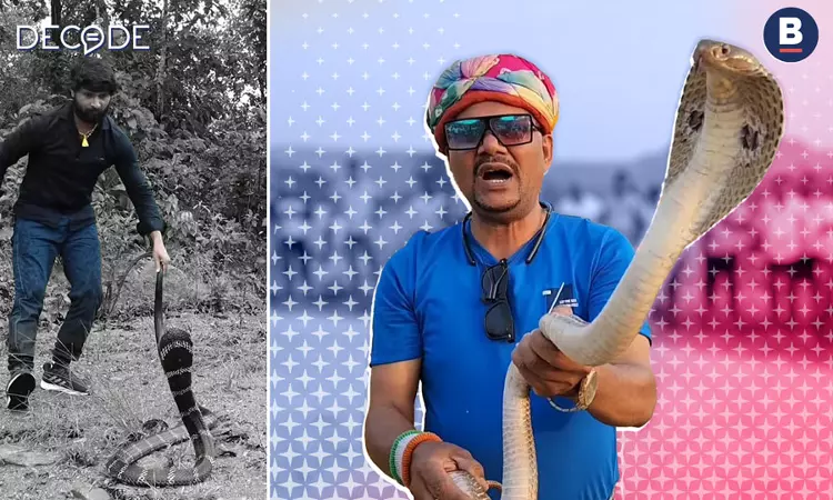 The Not-So-Secret Lives Of Viral Myth-Busting Snake Rescuers