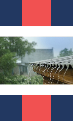 Cold Wave Continues In Delhi: IMD Forecasts Rain, Alerts Issued For Northern States