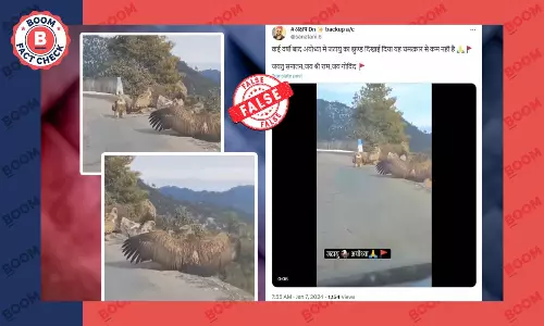 Old Video Of Vultures Falsely Shared As Jatayu Spotted In Ayodhya