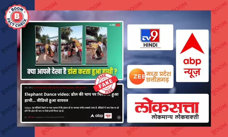 Indian News Outlets Misreport Video Of Man Dancing In Elephant Costume As Real