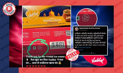 Photo Of Vadilal Ice Cream Package With Halal Mark Viral With False Claim