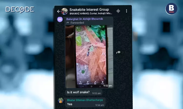 Saving Lives Through Screens: Doctors Use WhatsApp to Fight Snakebites